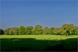 Lobau 07.05.11 0109